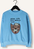 Blauwe Jelly Mallow Sweater CAT PIGMENT SWEATSHIRT Blauwe Jelly Mallow Sweater CAT PIGMENT SWEATSHIRT - medium