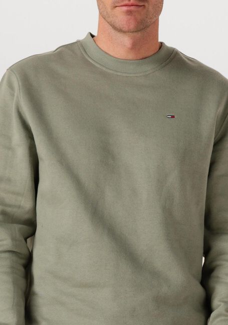 Groene TOMMY JEANS Sweater TJM REG S FLAG CREW EXT - large