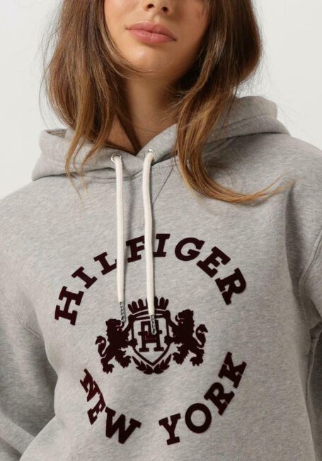 Lichtgrijze TOMMY HILFIGER Sweater REG VARSITY FLOCK HOODIE - large