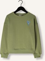 Groene AMMEHOELA Sweater ROCKY Groene AMMEHOELA Sweater ROCKY - medium