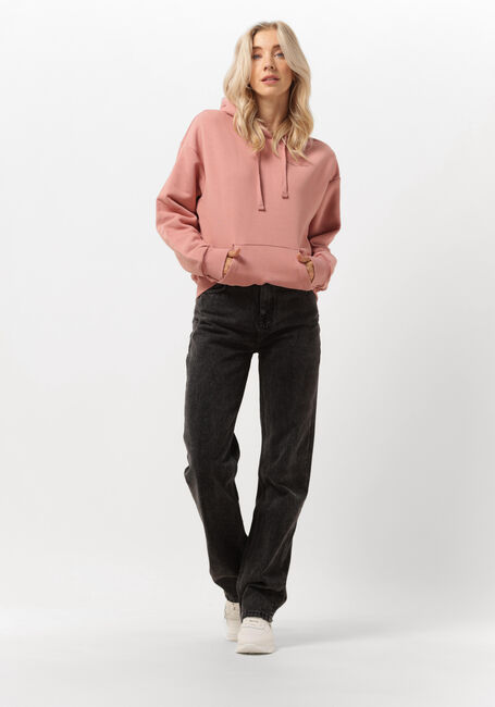 Roze COLOURFUL REBEL Sweater ART EAGLE EMBRO OVERSIZED HOODIE - large