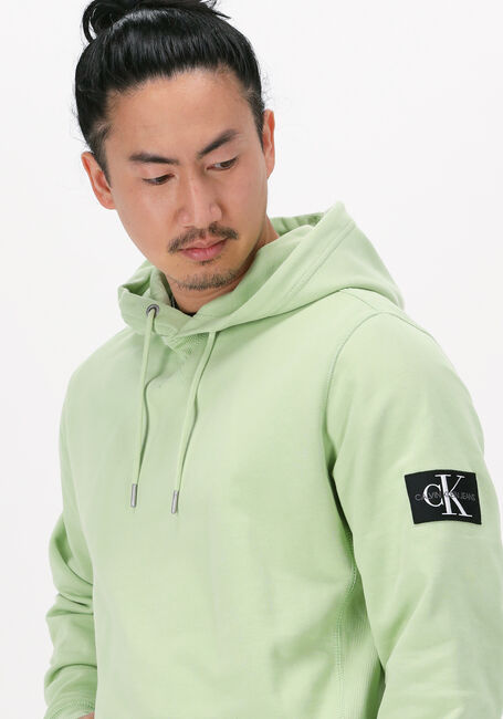 Groene CALVIN KLEIN Sweater MONOGRAM SLEEVE BADGE HOODIE - large