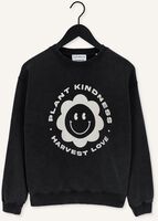 Grijze CATWALK JUNKIE Trui SW HARVEST LOVE Grijze CATWALK JUNKIE Trui SW HARVEST LOVE - medium