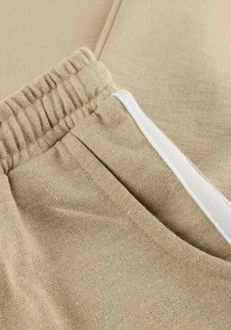 Beige DAILY7 Lange broeken WIDE PANTS SWEAT GLITTER - large
