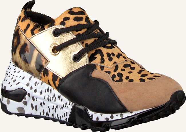 Bruine STEVE MADDEN Lage sneakers CLIFF SNEAKER Bruine STEVE MADDEN Lage sneakers CLIFF SNEAKER - large