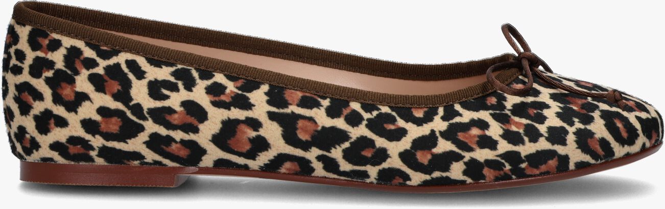 elkaar Gepensioneerde Mening Beige GIULIA Ballerina's G.12.BALLERINA | Omoda