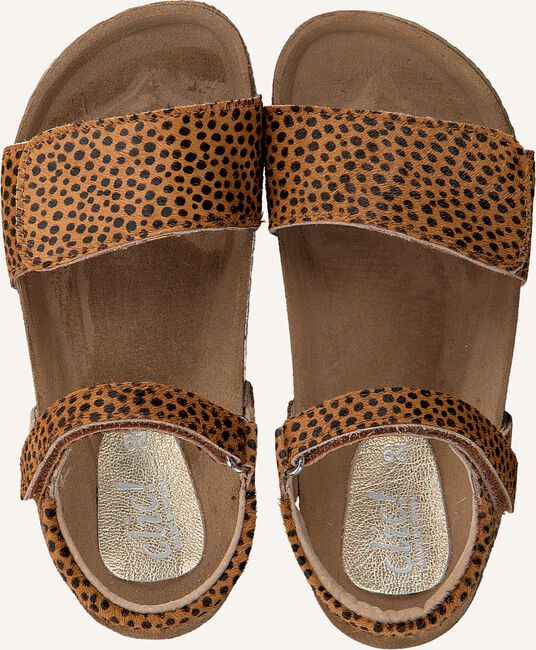 CLIC! CL-GRASS CLIC! CL-GRASS - large