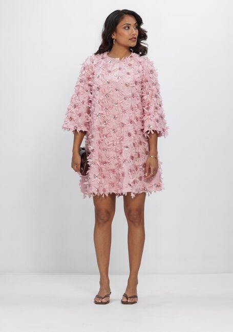 Roze Y.A.S. Jurken YASABELONE 3/4 DRESS - large