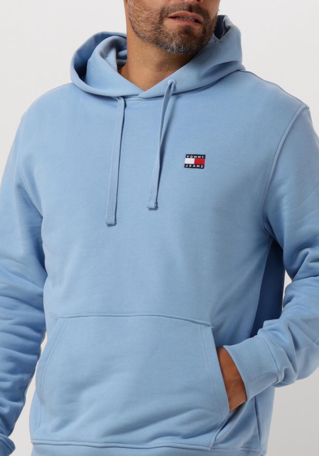 TOMMY JEANS Heren Truien & Vesten Tjm Reg Badge Hoodie Lichtblauw