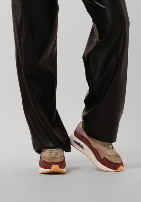 Camel THE HOFF BRAND Lage sneakers BIG BEN - large