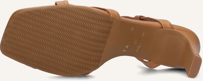 Camel TANGO Sandalen AVA 6 Camel TANGO Sandalen AVA 6 - large