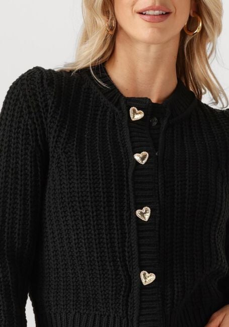 Zwarte FABIENNE CHAPOT Vest SUN CARDIGAN 1 - large