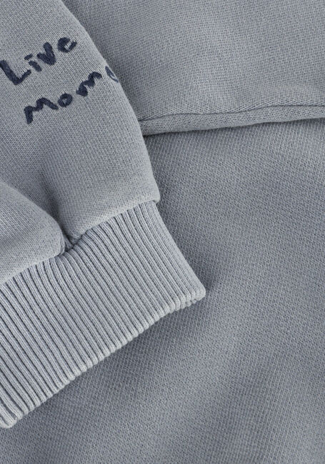 Groene PLAY UP Sweater FLEECE SWEATER 4 Groene PLAY UP Sweater FLEECE SWEATER 4 - large