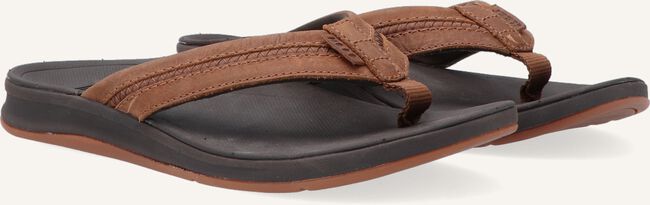 Bruine REEF Teenslippers ORTHO BOUNCE COAST MEN Bruine REEF Teenslippers ORTHO BOUNCE COAST MEN - large