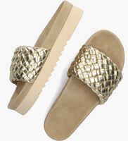 Gouden MARUTI Slippers BILLY - medium
