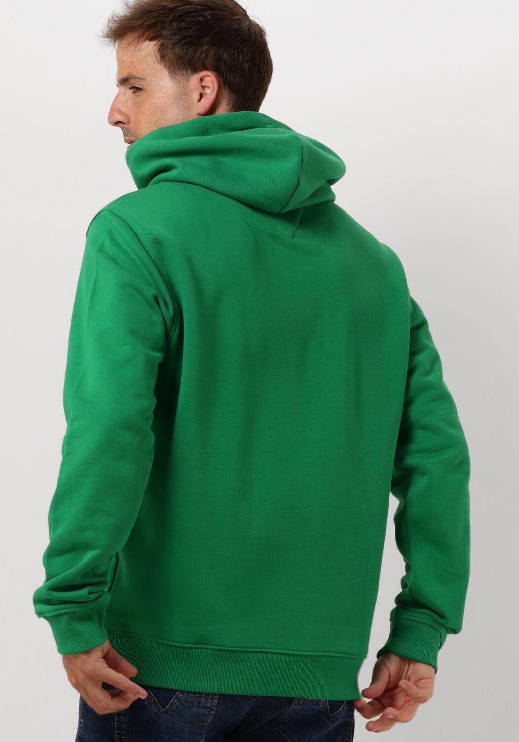 TOMMY JEANS Heren Truien & Vesten Tjm Reg Badge Hoodie Groen
