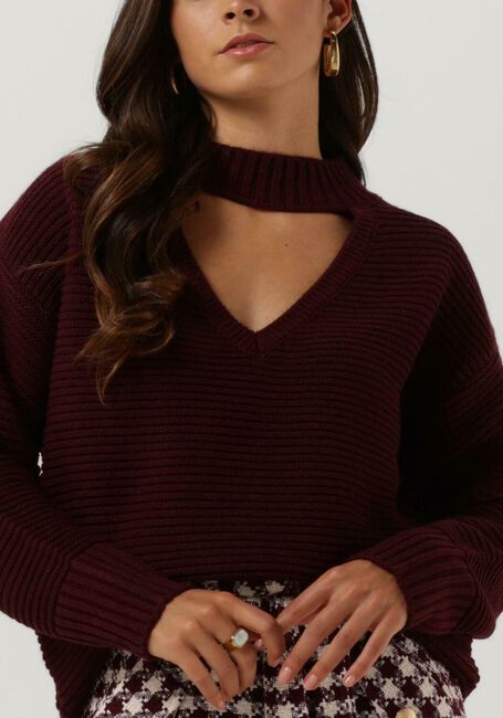Bordeaux AMAYA AMSTERDAM Trui DONNA KNITWEAR - large
