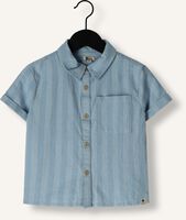 Lichtblauwe DAILY7 T-shirt SHIRT STRIPED Lichtblauwe DAILY7 T-shirt SHIRT STRIPED - medium