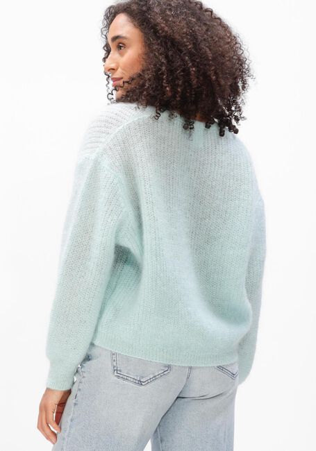 Blauwe TWNS Vest ERIE - large