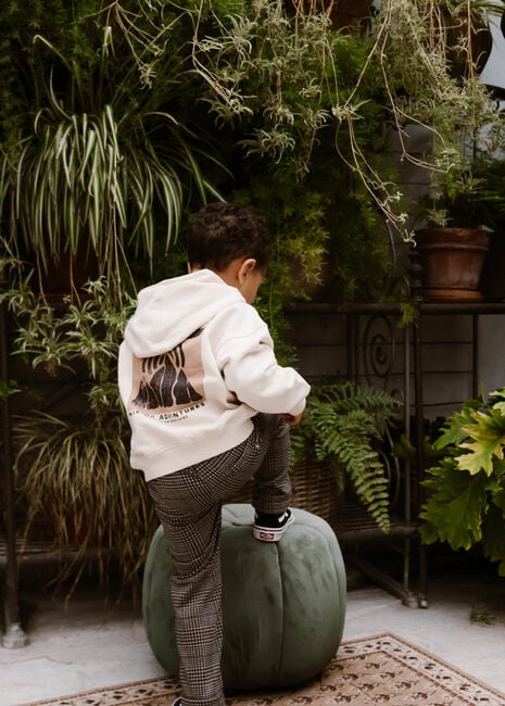 Zand DAILY7 Truien/vesten HOODIE BACKPRINT ADVENTURES Zand DAILY7 Truien/vesten HOODIE BACKPRINT ADVENTURES - large