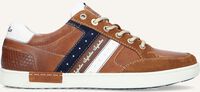 Bruine AUSTRALIAN Lage sneakers NOTTINGHAM - medium