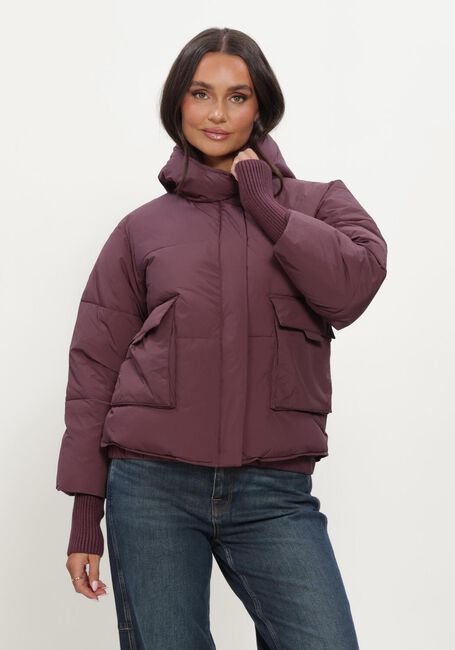 Bordeaux SILVIAN HEACH Gewatteerde jas PADDED JACKET NEDYALK - large