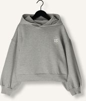 Grijze SOFIE SCHNOOR Truien/vesten G243274 Grijze SOFIE SCHNOOR Truien/vesten G243274 - medium