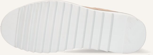 Beige LYLE & SCOTT Veterboots HARPER Beige LYLE & SCOTT Veterboots HARPER - large