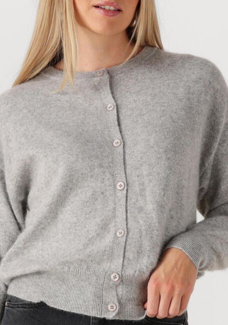 Grijze TWNS Vest MONTROSE - large