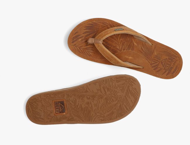 Camel REEF Teenslippers DRIFT AWAY LE - large