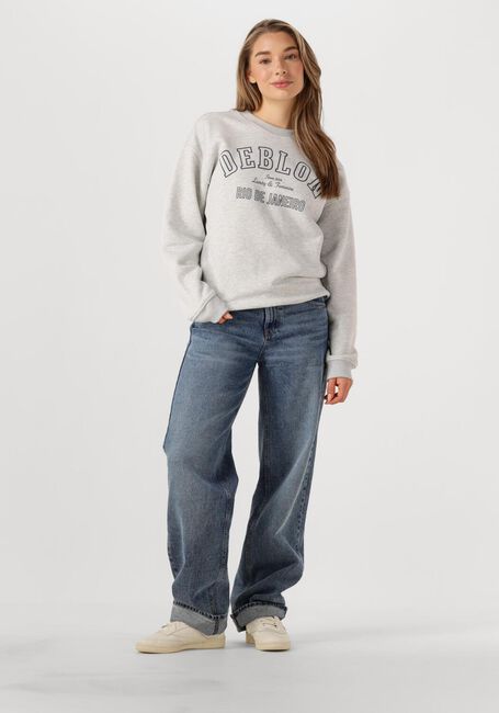 Lichtgrijze DEBLON SPORTS Sweater CECILE - large