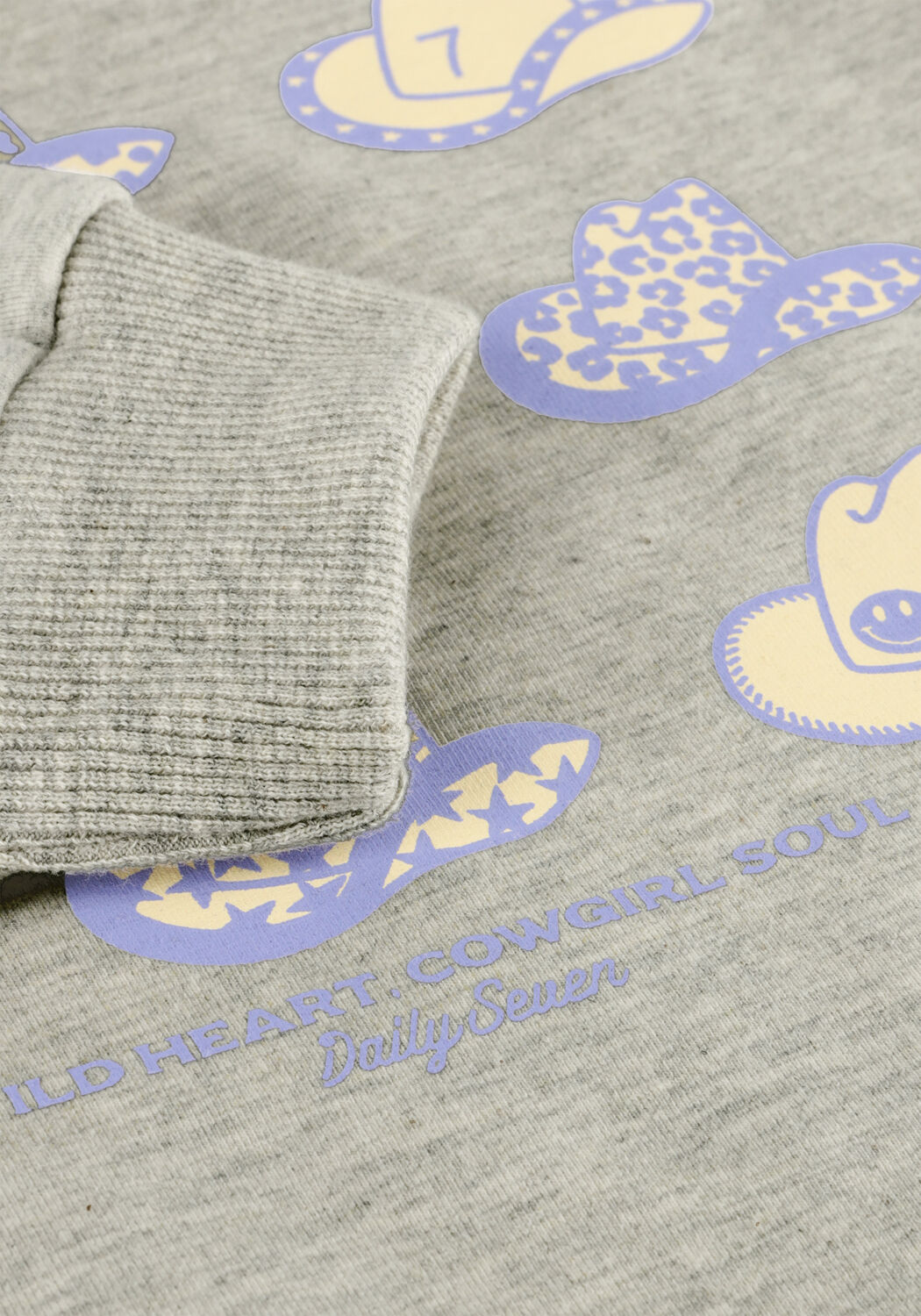 Lichtgrijze DAILY7 Sweater SWEATER BACKPRINT - large