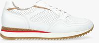 Witte GABOR Lage sneakers 036.1 - medium