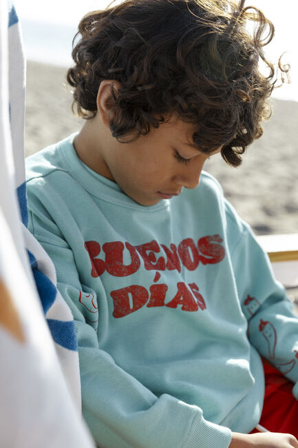 Mint AMMEHOELA Sweater ROCKY - large