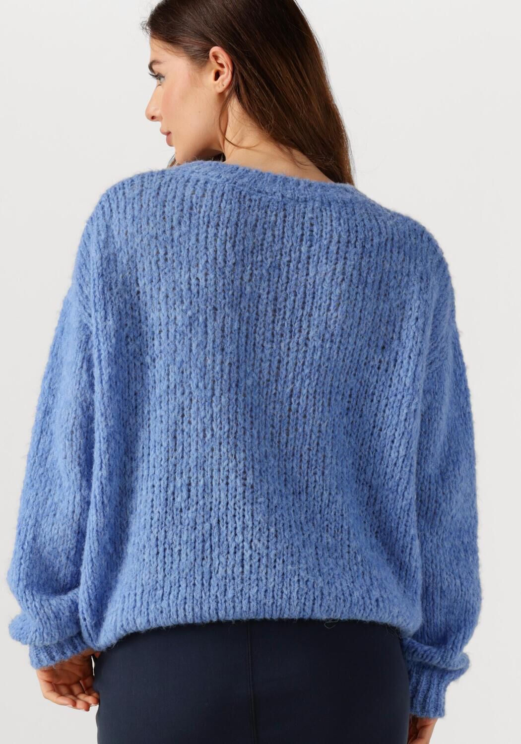 PENN & INK Dames Truien & Vesten Jumper W25l246 Blauw