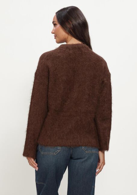 Bruine INWEAR Trui PELLOIW PULLOVER - large