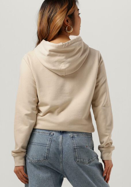 Beige TOMMY JEANS Sweater TJW REG SERIF LINEAR HOODIE - large