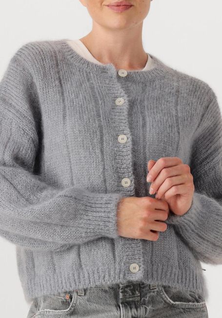 Blauwe DES PETITS HAUTS Vest CHOUETTE - large