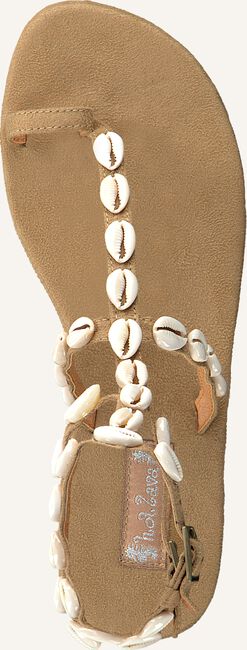 Beige HOT LAVA Platte sandalen DOUBLE SHELL Beige HOT LAVA Platte sandalen DOUBLE SHELL - large