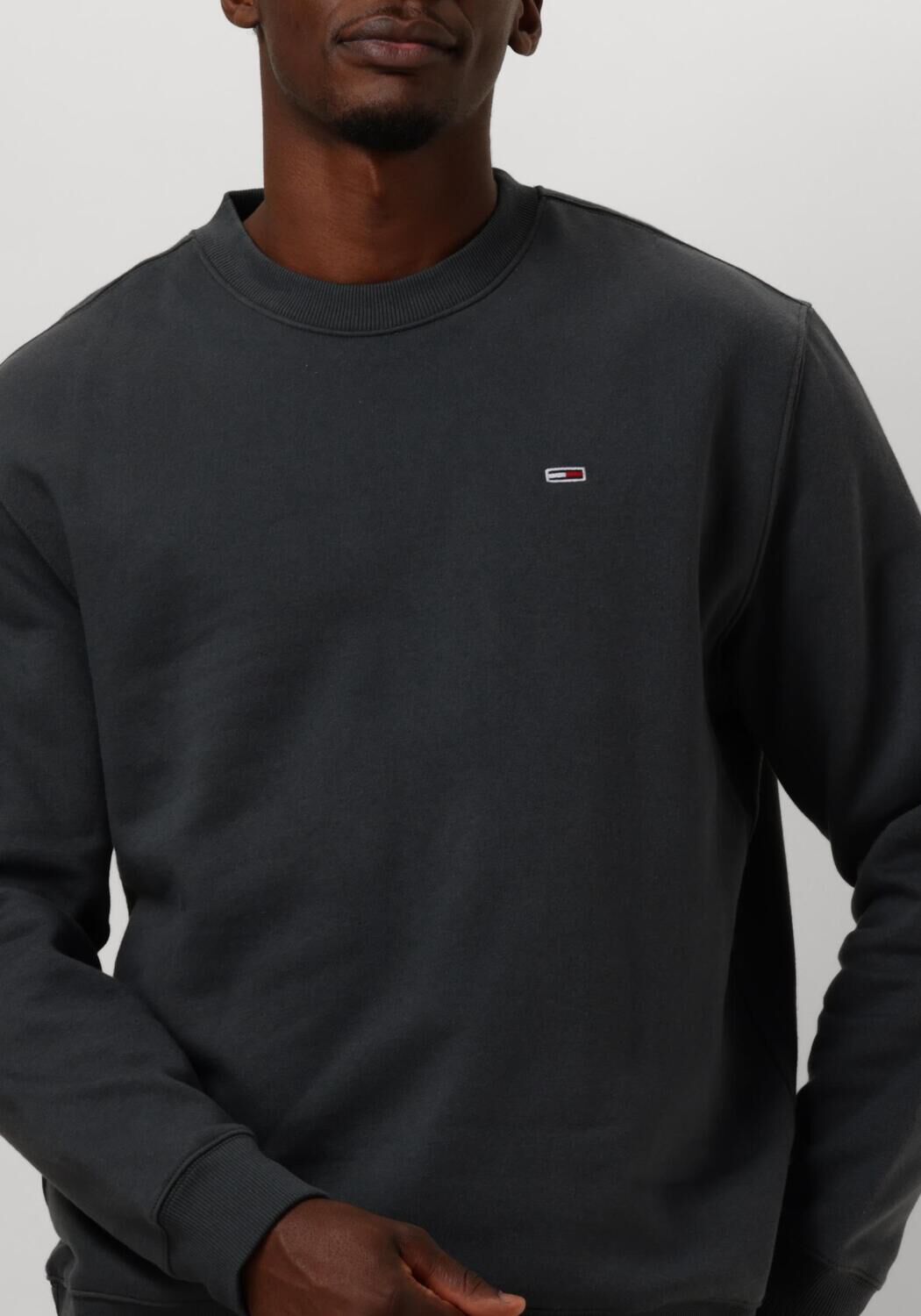 TOMMY JEANS Heren Truien & Vesten Tjm Reg S Flag Crew Grijs