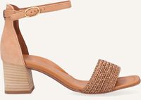 Camel PAUL GREEN Platte sandalen 7788 - medium