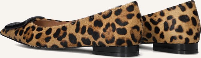 Bruine BIBI LOU Ballerina's 610Z91VK Bruine BIBI LOU Ballerina's 610Z91VK - large