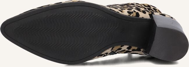 NOTRE-V AT 156 NOTRE-V AT 156 - large