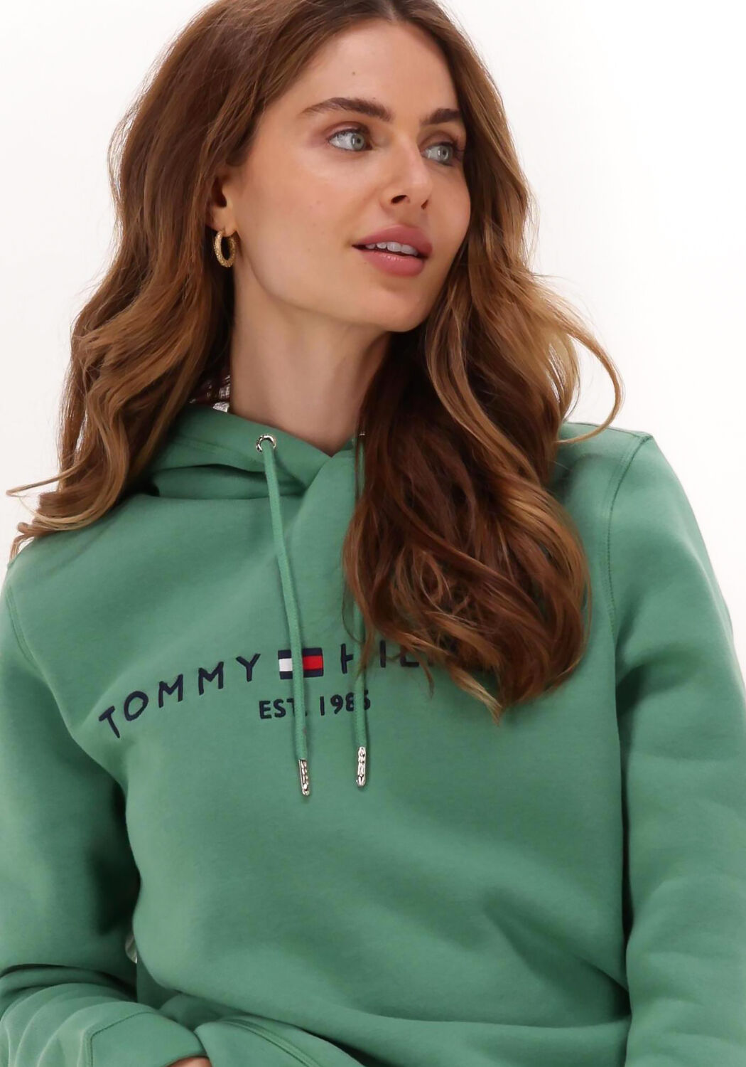 Grijze hoodie tommy hilfiger best sale