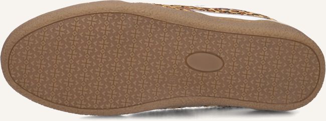 Beige HABOOB Lage sneakers CHARLOTTE Beige HABOOB Lage sneakers CHARLOTTE - large