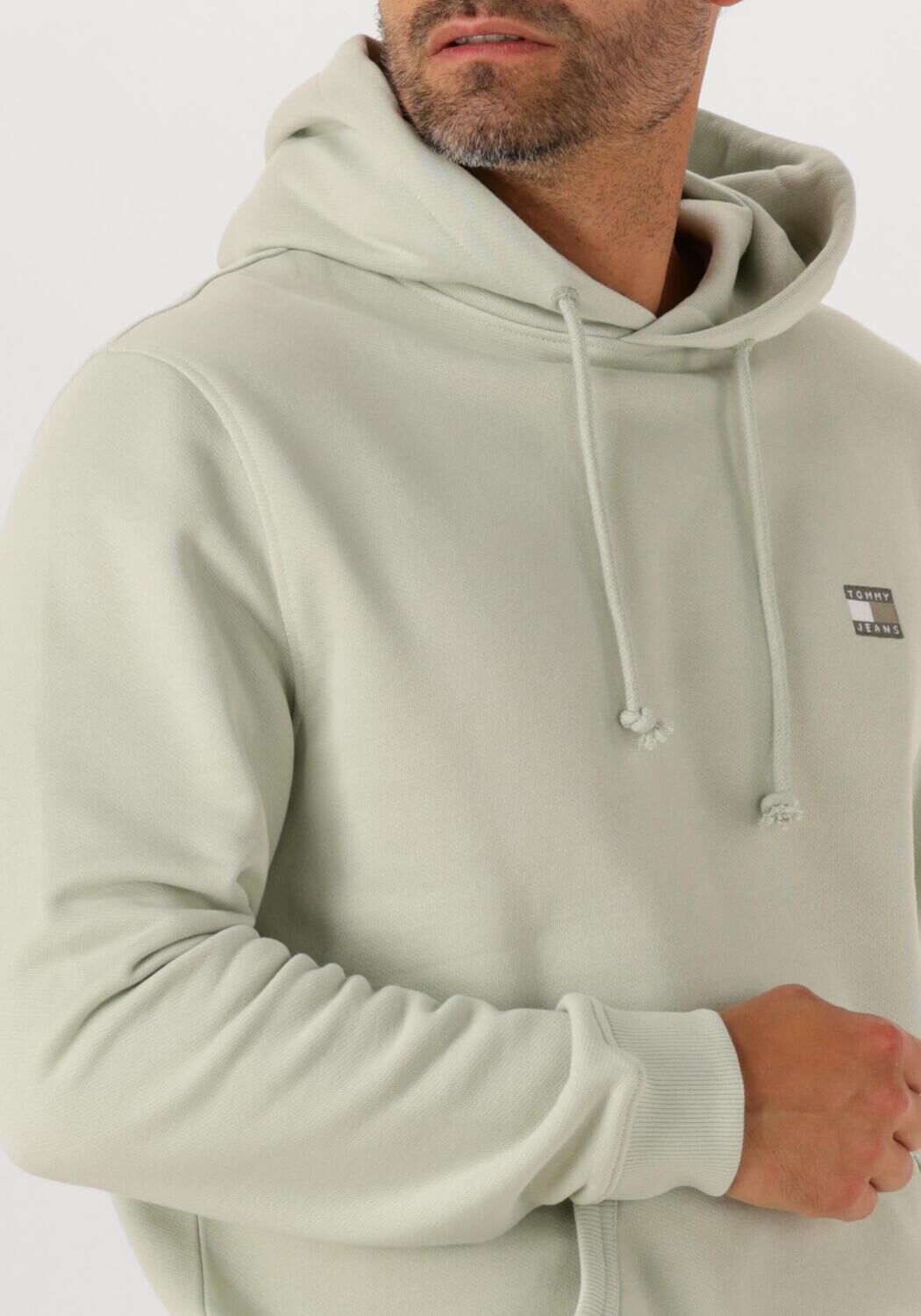 TOMMY JEANS Heren Truien & Vesten Tjm Reg Badge Hoodie Ext Mint