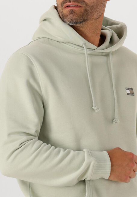 Mint TOMMY JEANS Trui TJM REG BADGE HOODIE EXT - large