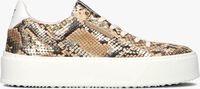 Gouden FLORIS VAN BOMMEL Lage sneakers SFW-10106 - medium