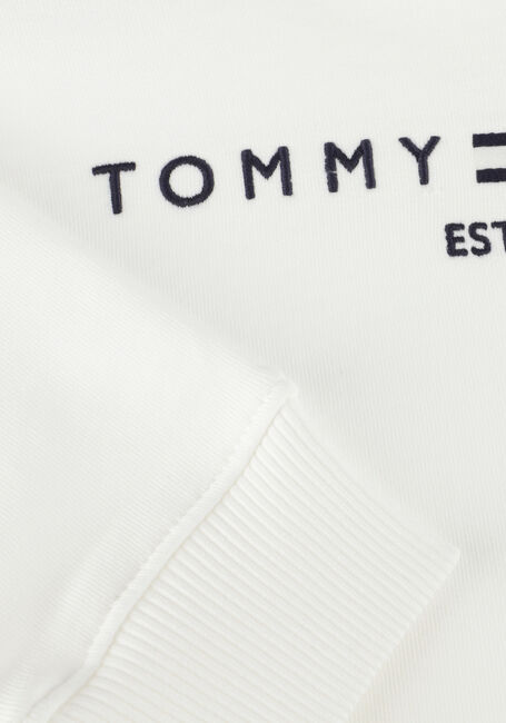 Witte TOMMY HILFIGER Trui U CORP LOGO ESS HOODIE - large