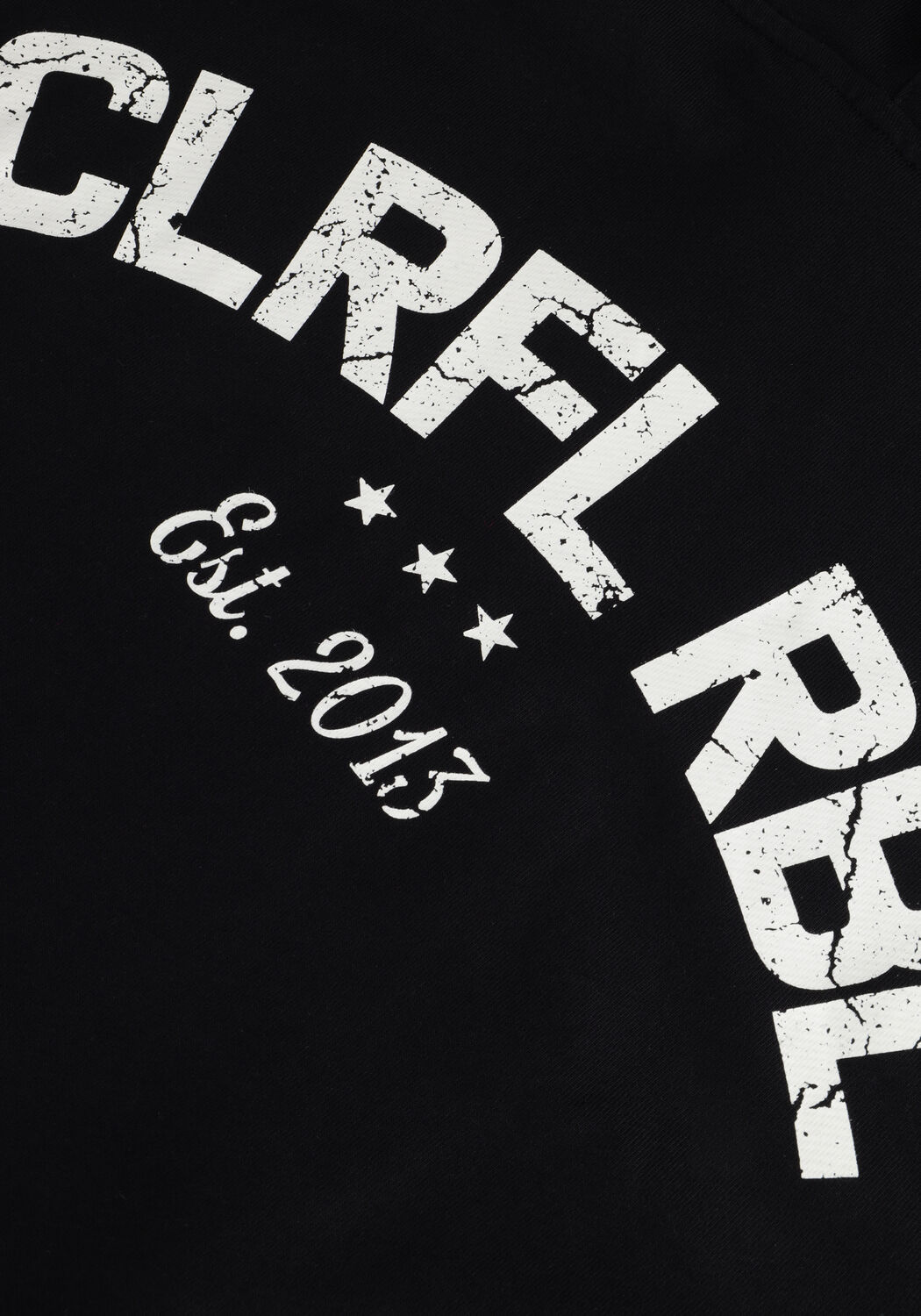 Zwarte COLOURFUL REBEL Sweater CR EST. 2013 BACK PRINT HOODIE Omoda
